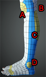 Cc33 body topology checker 08.png