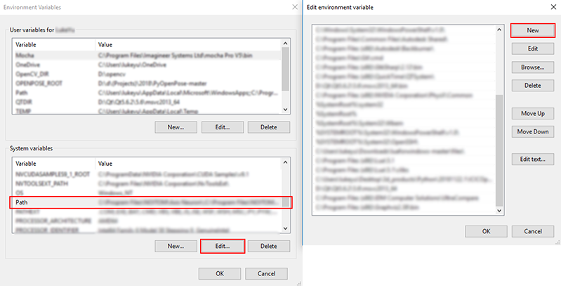 Python api variables setting.png