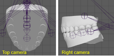 Cc eyes teeth replacement 14.PNG