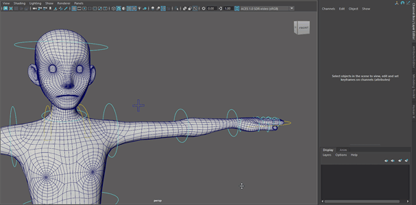 Ic maya motion to iClone 04.gif