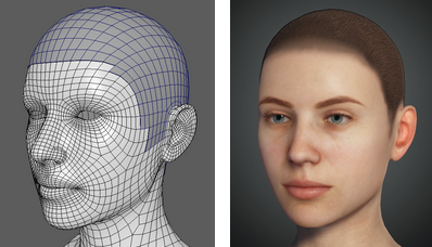 Cc34 hair scalp extraction.png