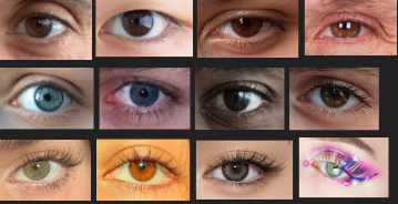 HD Eyelashes 05.PNG