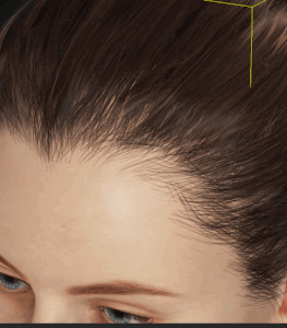 Cc34 hair scalp fill right.gif