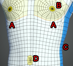 Cc33 body topology checker 05.png