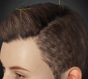 Cc34 hair scalp overfill left.gif