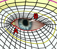 Cc33 topology checker 04.png