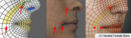 Scan to cc3+ nasolabial fold.png