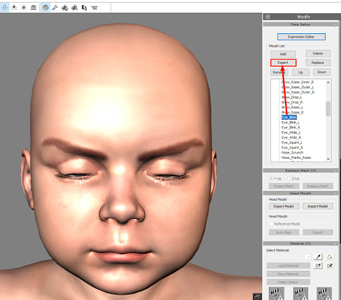 Cc morph creation 3.0 12.jpg