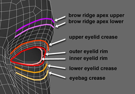 Proper Topology Eye.png