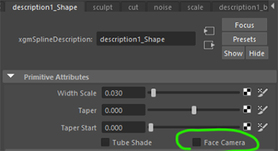 Cc34 hair face camera.png