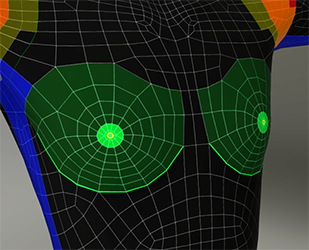 Cc body regions chest.png