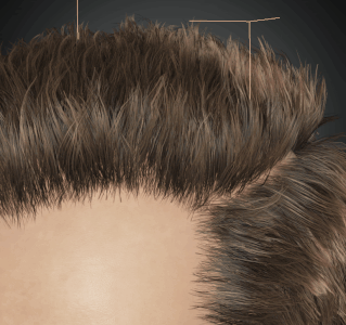 Cc34 hair scalp fill left.gif