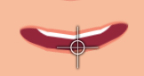 CTA FD Checklist FFSD 01.png