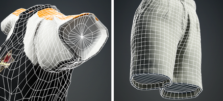 Examples of mesh capping and closure.