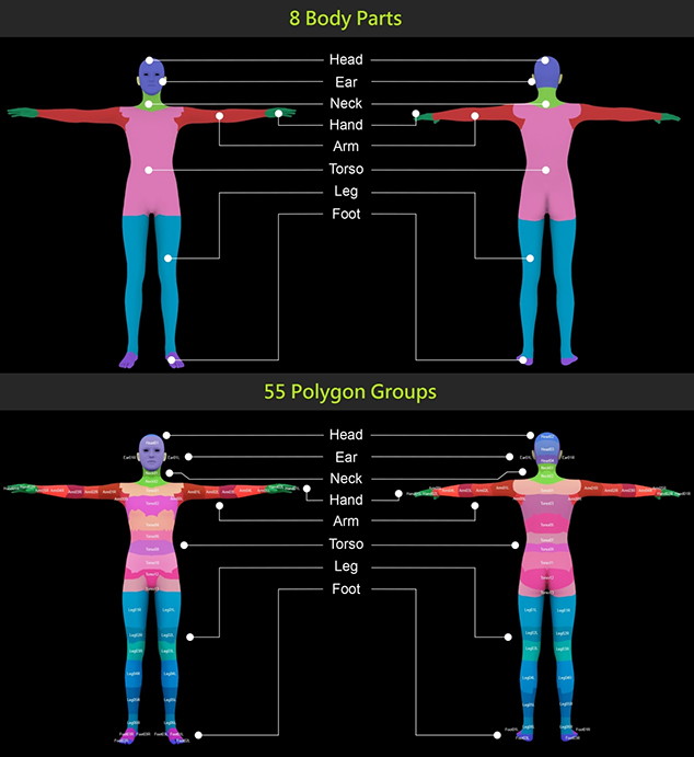 Hide Mesh Hide Skin Chart.png