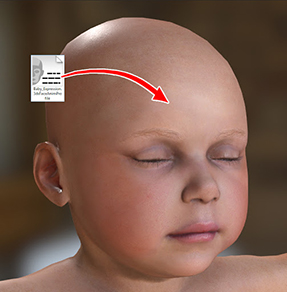 Cc morph creation 3.0 16.jpg