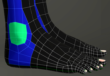 Cc body regions ankle.png