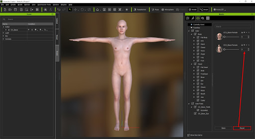 Cc morph creation 3.0 01.jpg
