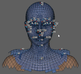 Scan to cc3+ wrapping.png