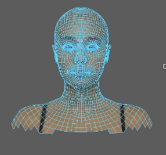 Scan to cc3+ delete shoulder down.png