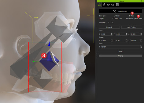 Cc morph creation 3.0 10.jpg