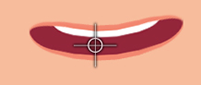CTA FD Checklist FFSD 02.png
