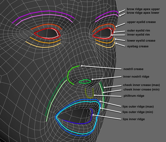 Proper Topology Full Head.png