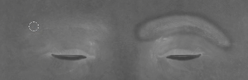 Scan to cc3+ removing roughness eyebrows.png