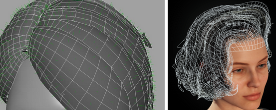 Cc34 hair normal direction.png