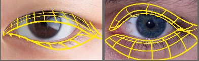 HD Eyelashes 08.PNG