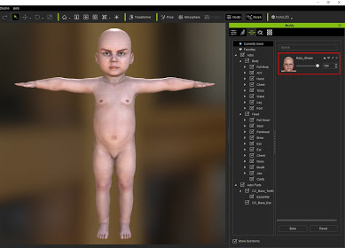 Cc morph creation 3.0 05.jpg