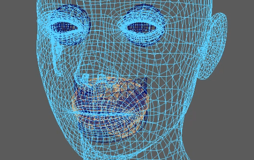 Scan to cc3+ mouth cavity selection.png