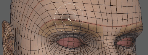 Scan to cc3+ fixing topology.gif