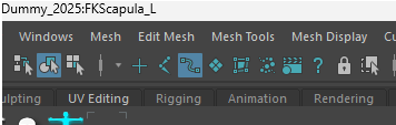 Maya motion to iClone 04.PNG