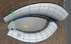 Scan to cc3+ positioning caruncles.png