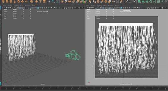 Cc34 hair render boundary.png