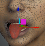 Scan to cc3+ tongue adjustments.png