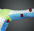 Thumbnail for version as of 23:26, 16 August 2020