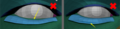 Thumbnail for version as of 20:04, 4 November 2025