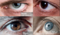 Thumbnail for version as of 20:04, 4 November 2025