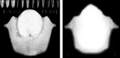 Thumbnail for version as of 18:57, 6 April 2021