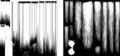 Thumbnail for version as of 02:56, 16 April 2021