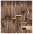 Thumbnail for version as of 20:00, 22 March 2021