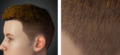Thumbnail for version as of 18:57, 6 April 2021