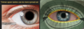 Thumbnail for version as of 20:04, 4 November 2025