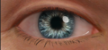 Thumbnail for version as of 20:04, 4 November 2025