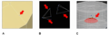 Thumbnail for version as of 19:48, 1 April 2026