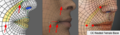 Thumbnail for version as of 18:41, 27 June 2021