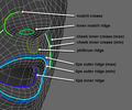 Thumbnail for version as of 03:27, 18 December 2018