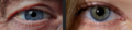 Thumbnail for version as of 20:04, 4 November 2025